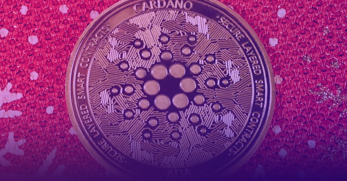 Cardano vydv Node 90 s har