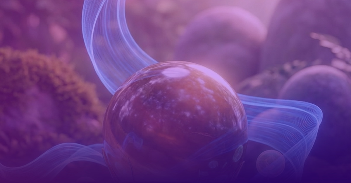 Ethena USDe vs Tether a Circl