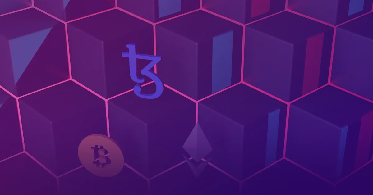 Nov token Bybit Hamster Komb